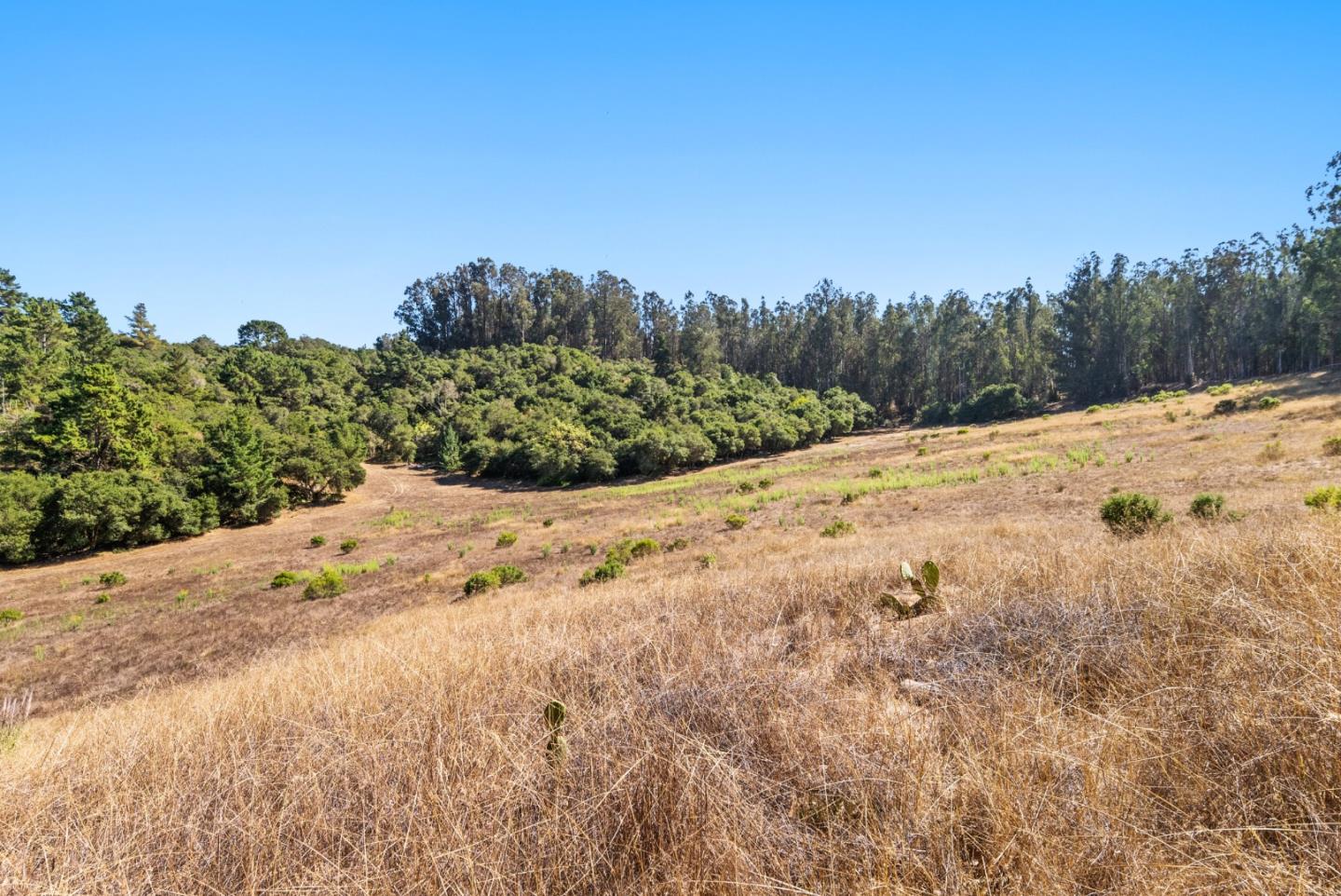 Detail Gallery Image 9 of 13 For Address Not Disclosed, Aromas,  CA 95004 - – Beds | – Baths