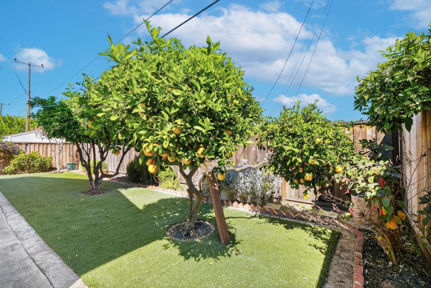 Detail Gallery Image 31 of 44 For 2177 Santa Cruz Ave, Santa Clara,  CA 95051 - 3 Beds | 2 Baths