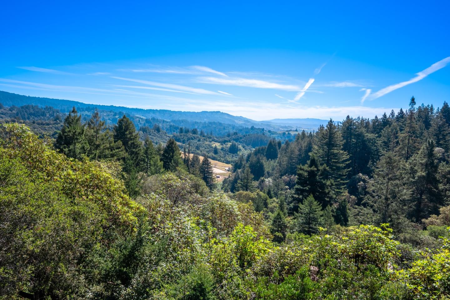 Detail Gallery Image 19 of 59 For 630 Caudill Rd, Watsonville,  CA 95076 - 4 Beds | 2/1 Baths