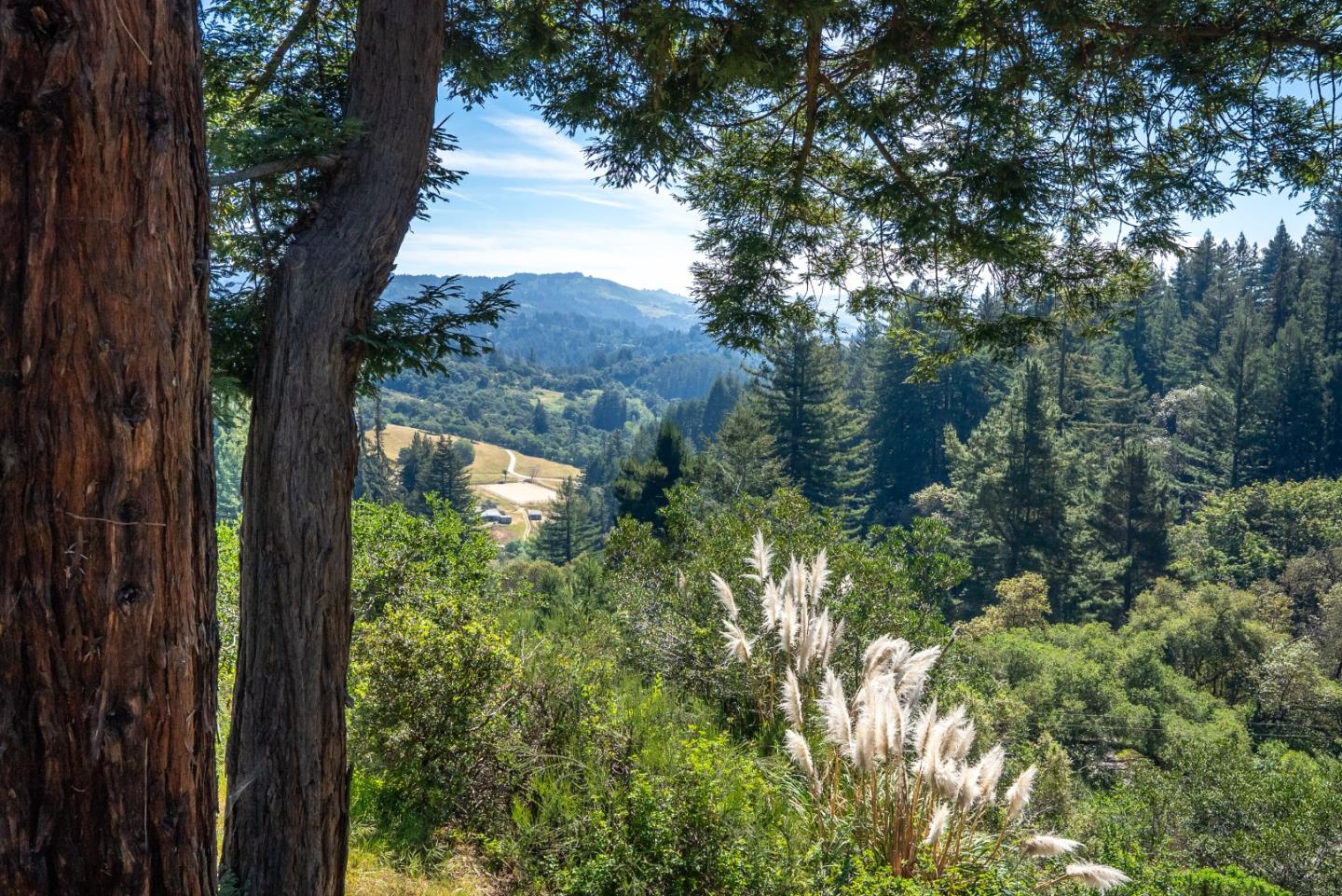 Detail Gallery Image 52 of 59 For 630 Caudill Rd, Watsonville,  CA 95076 - 4 Beds | 2/1 Baths