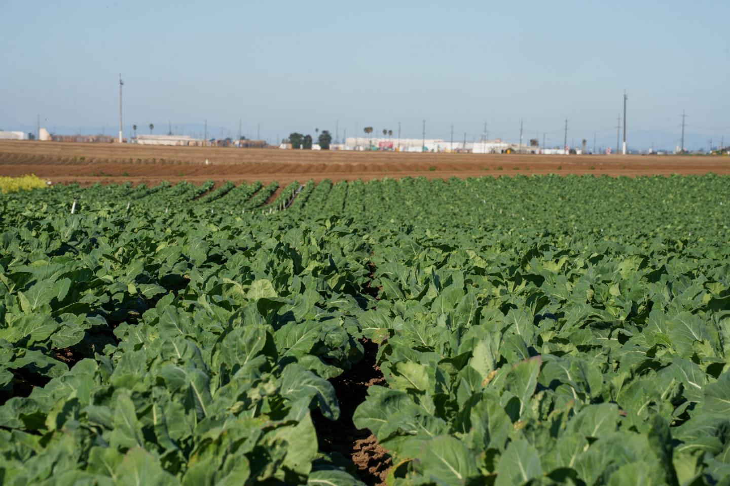 Detail Gallery Image 10 of 14 For Somavia Rd, Salinas,  CA 93908 - – Beds | – Baths