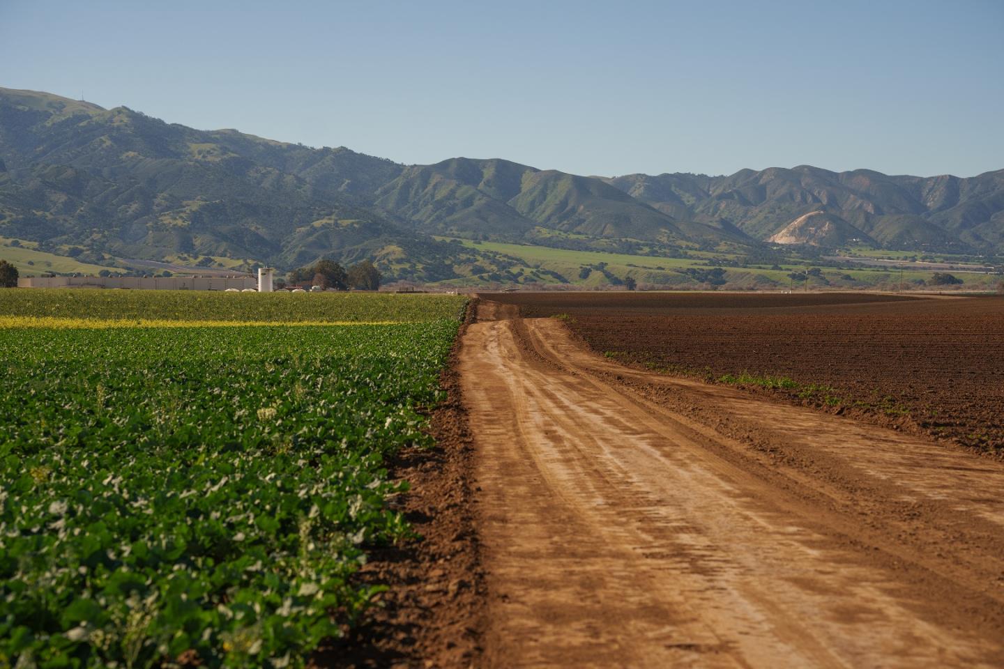 Detail Gallery Image 11 of 14 For Somavia Rd, Salinas,  CA 93908 - – Beds | – Baths