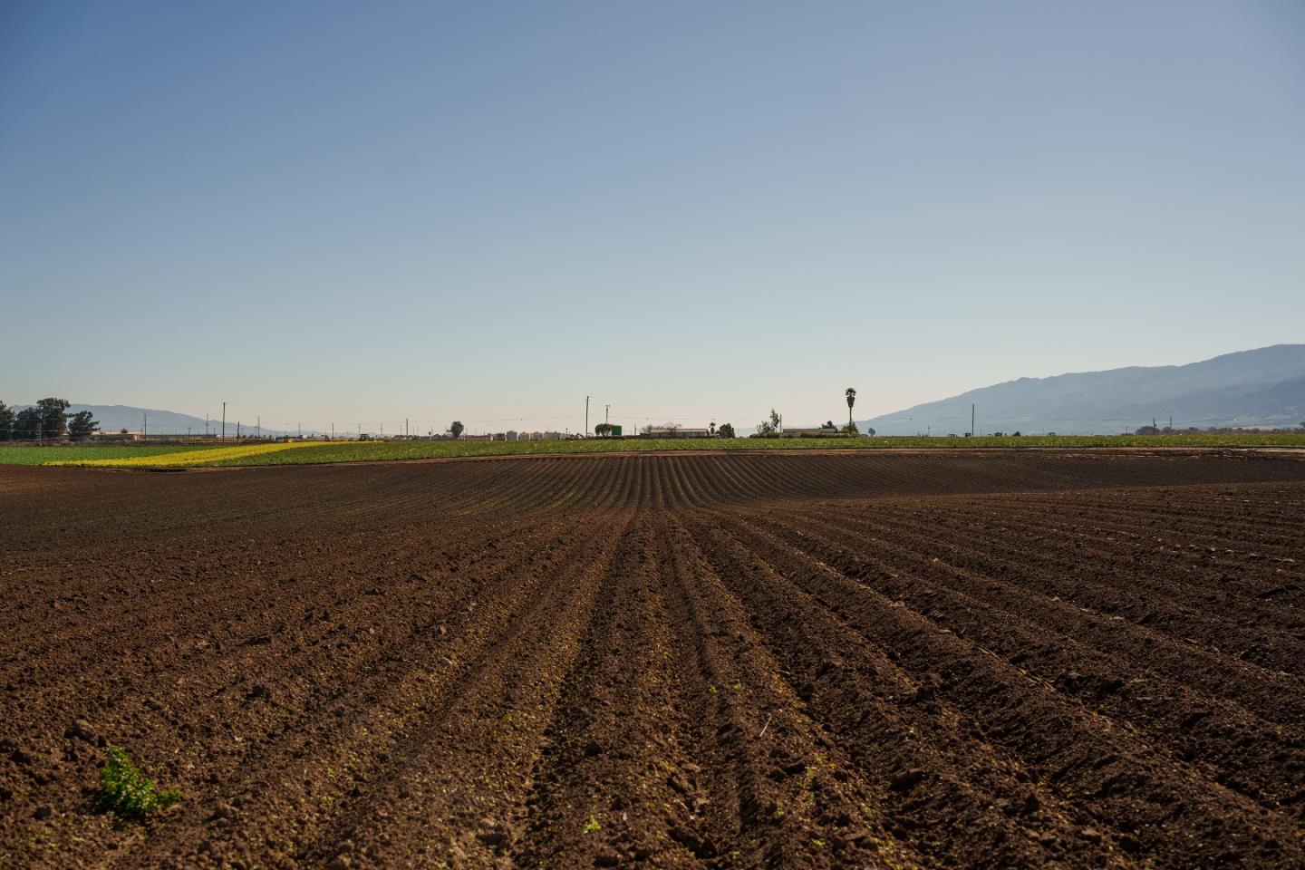 Detail Gallery Image 13 of 14 For Somavia Rd, Salinas,  CA 93908 - – Beds | – Baths