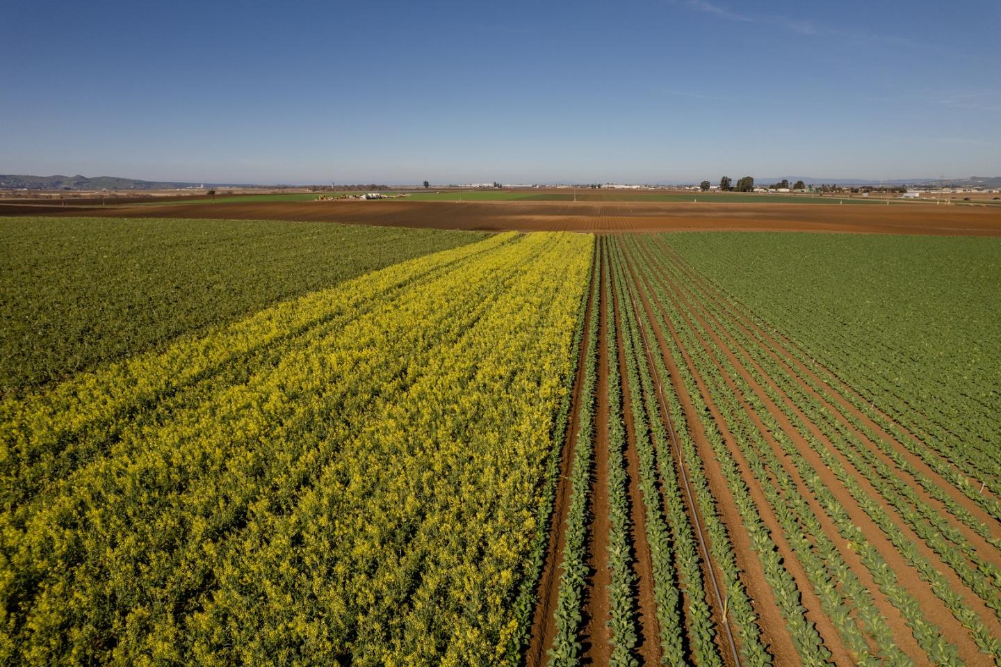 Detail Gallery Image 5 of 14 For Somavia Rd, Salinas,  CA 93908 - – Beds | – Baths