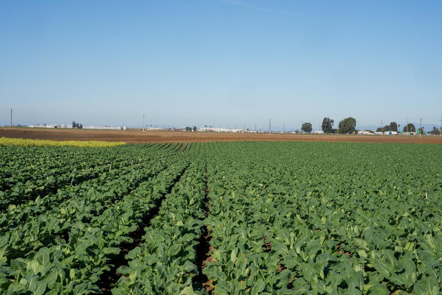 Detail Gallery Image 9 of 14 For Somavia Rd, Salinas,  CA 93908 - – Beds | – Baths