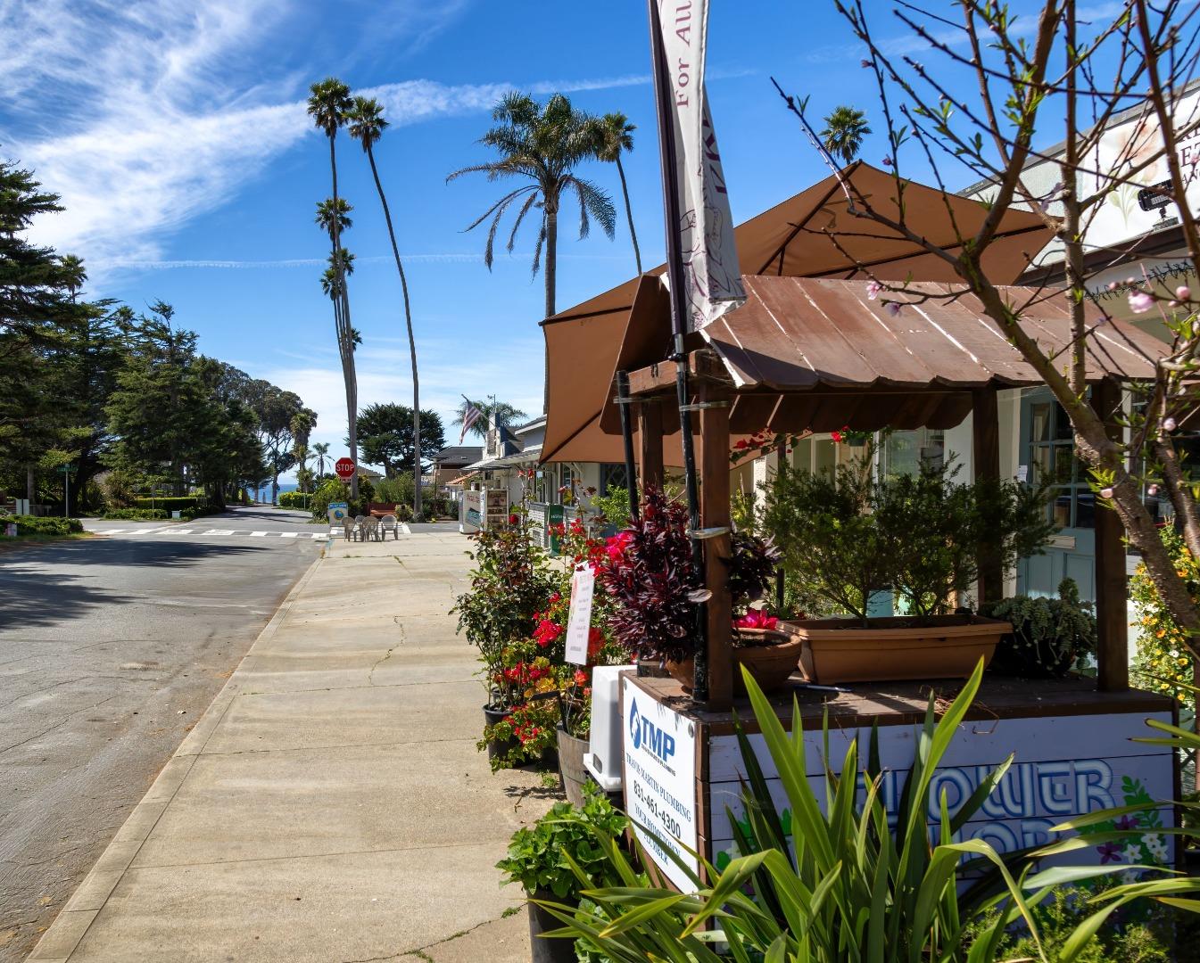 Detail Gallery Image 57 of 65 For 365 Race Horse Ln, Watsonville,  CA 95076 - 4 Beds | 3 Baths