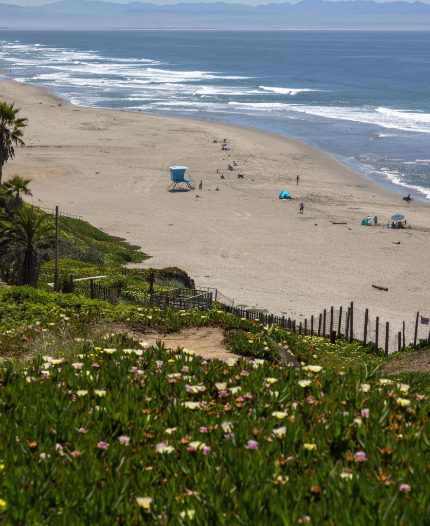 Detail Gallery Image 61 of 65 For 365 Race Horse Ln, Watsonville,  CA 95076 - 4 Beds | 3 Baths