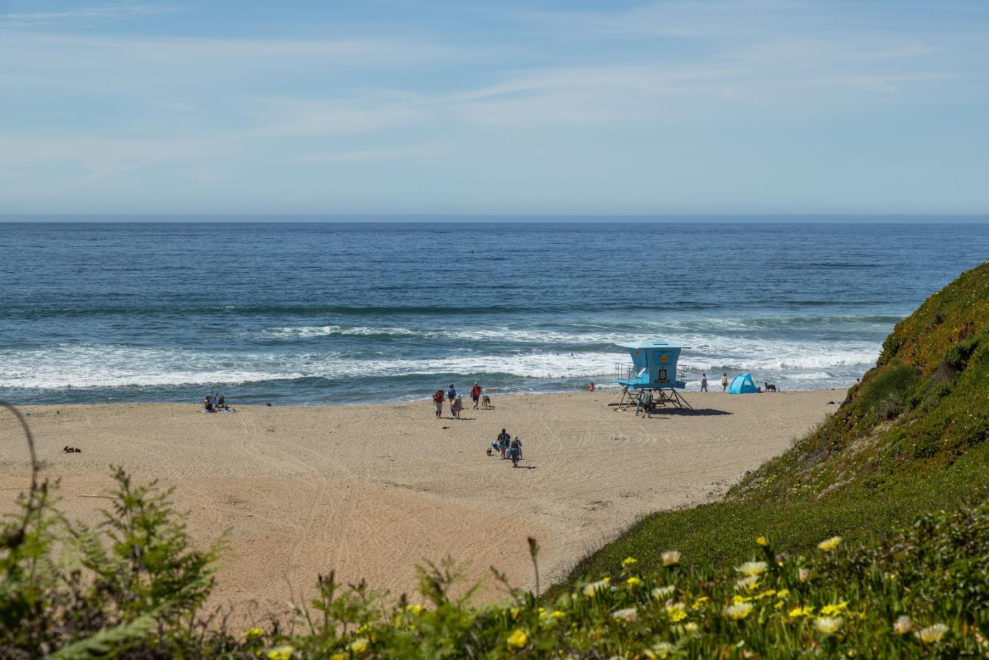 Detail Gallery Image 64 of 65 For 365 Race Horse Ln, Watsonville,  CA 95076 - 4 Beds | 3 Baths