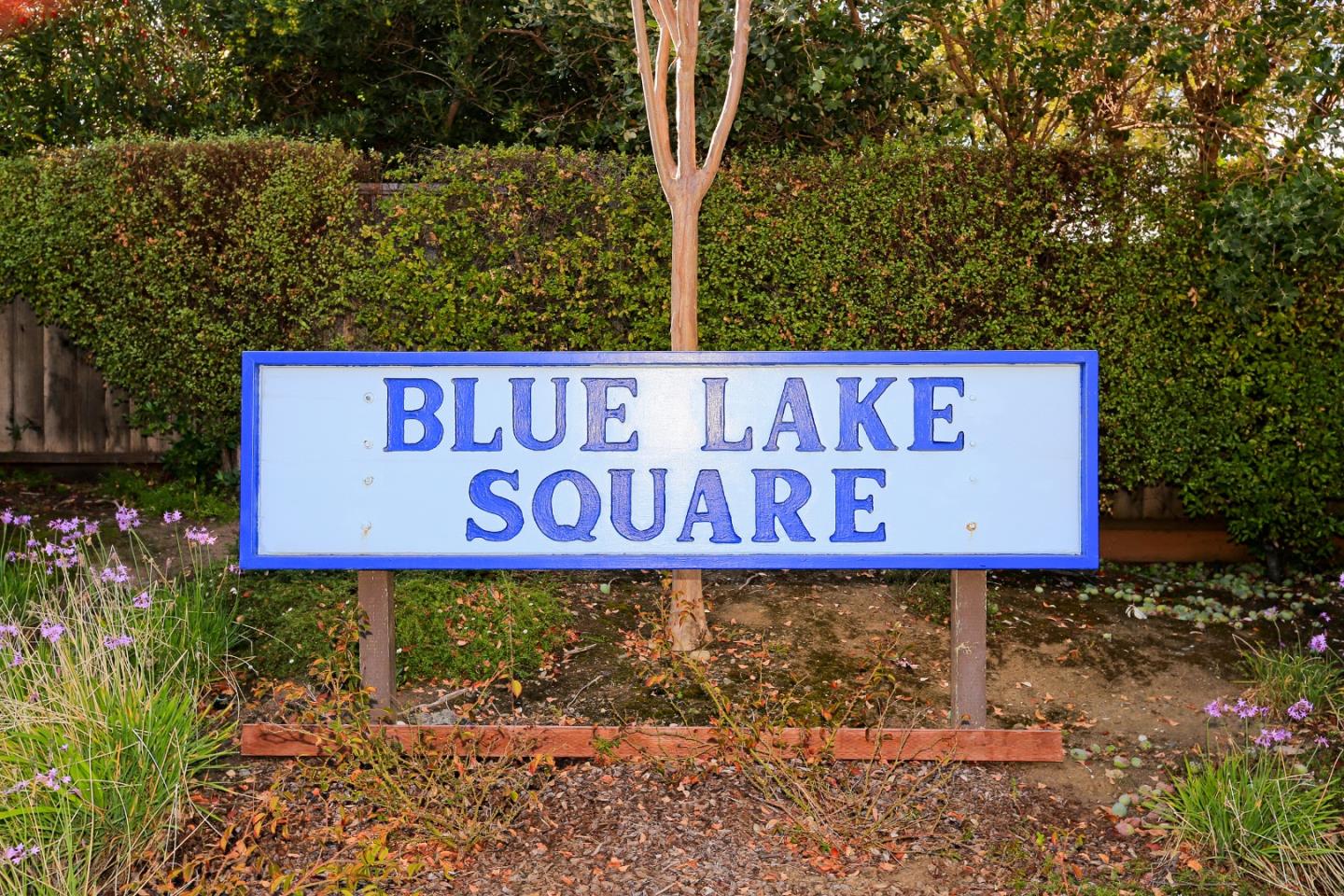 1102 Blue Lake Square, Mountain View, CA, 94040