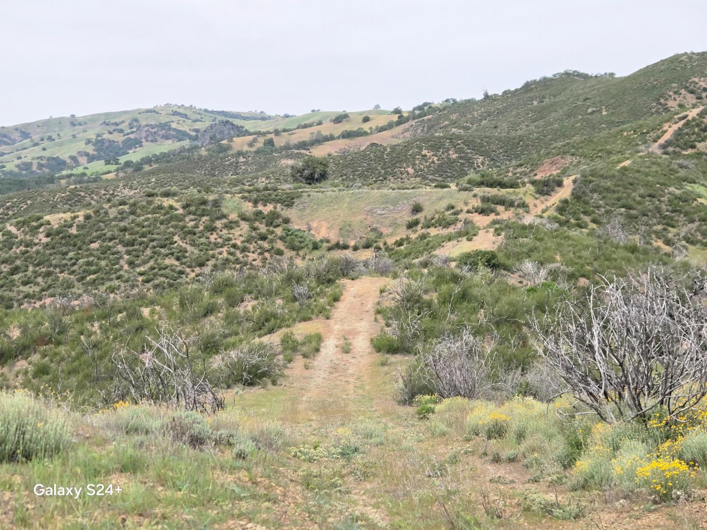 11 Little Uvas Road, Morgan Hill, CA, 95037