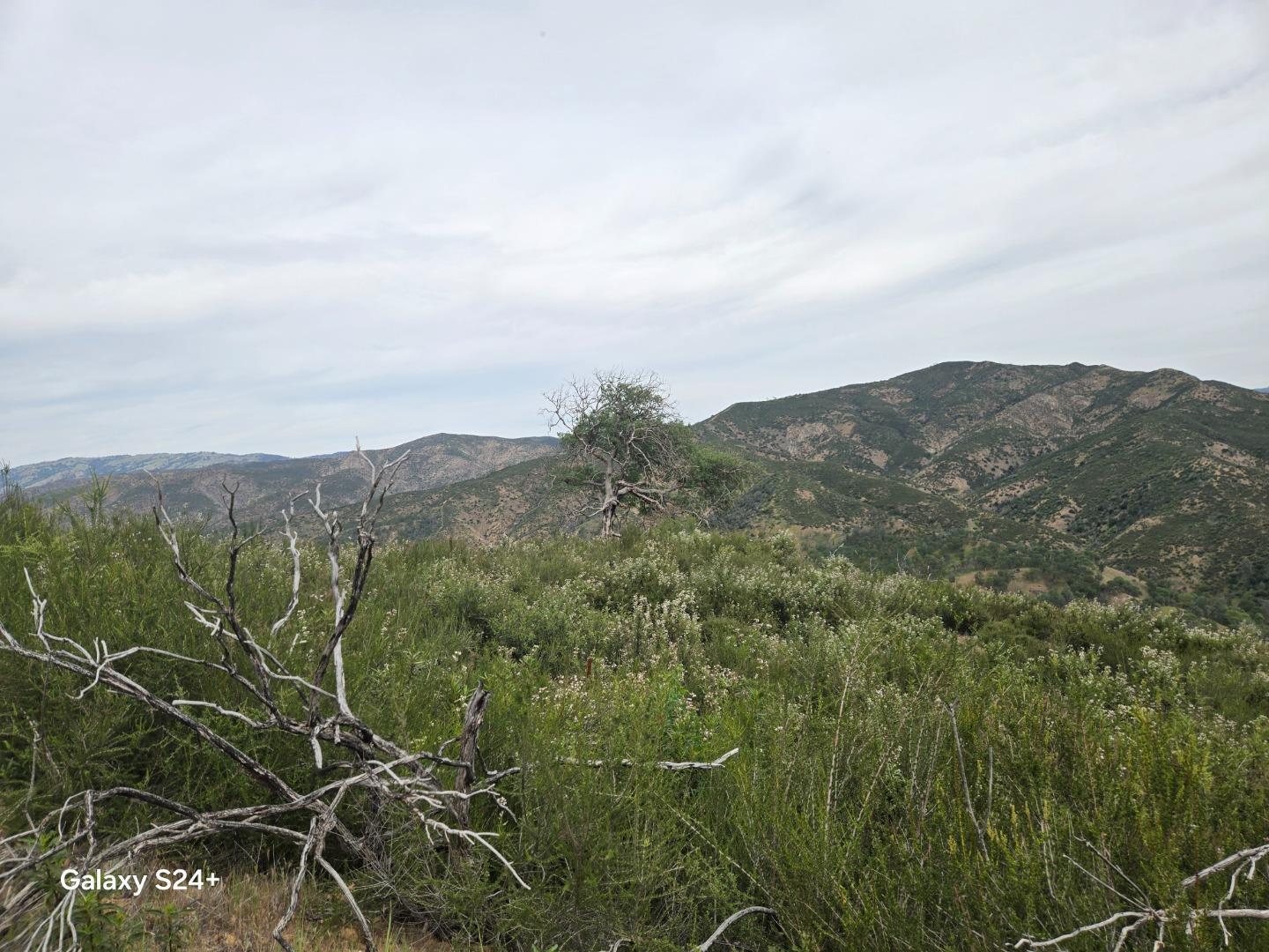 Detail Gallery Image 21 of 23 For 0 San Antonio Valley Rd, San Jose,  CA 95140 - – Beds | – Baths