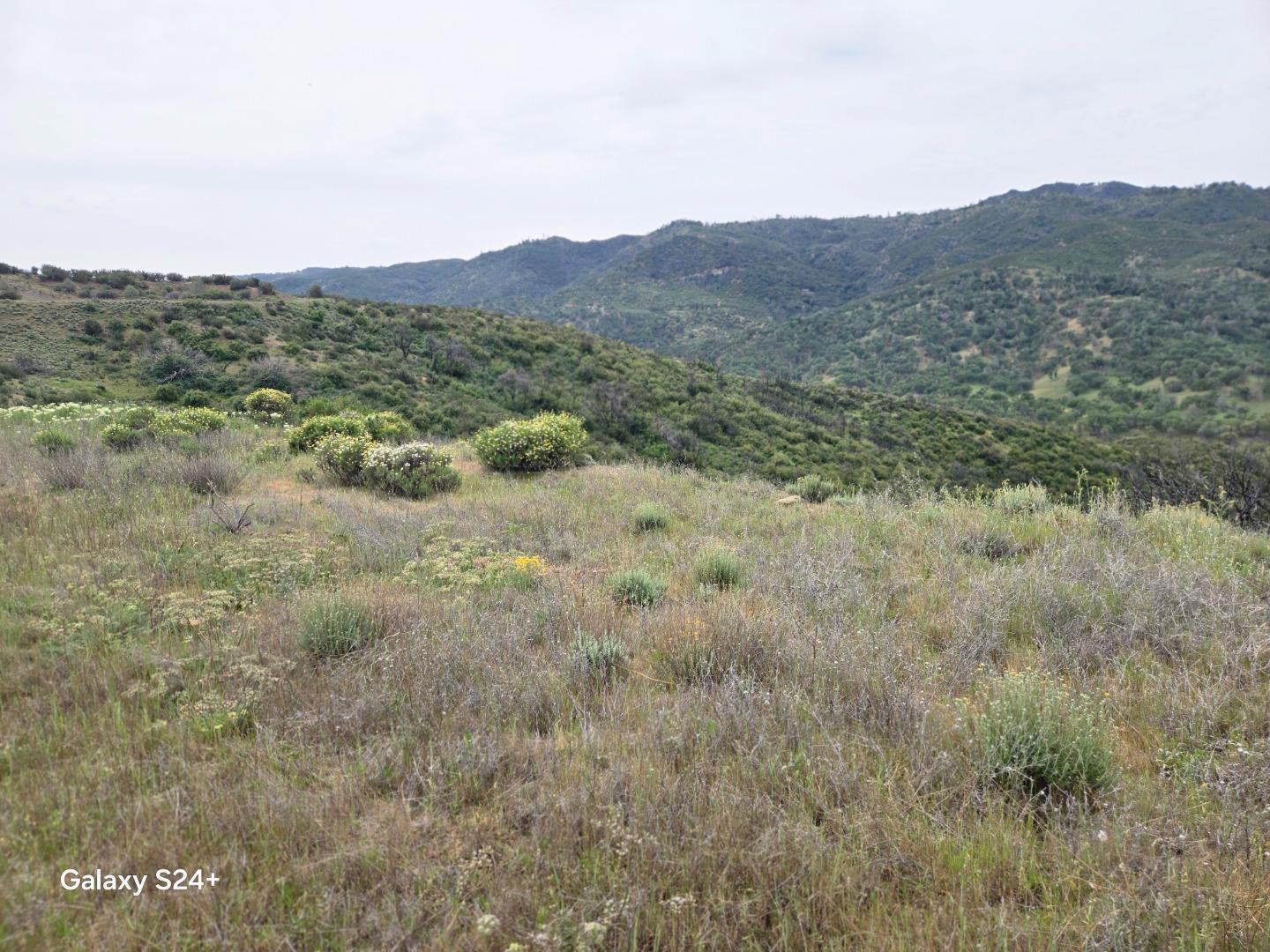 Detail Gallery Image 6 of 23 For 0 San Antonio Valley Rd, San Jose,  CA 95140 - – Beds | – Baths