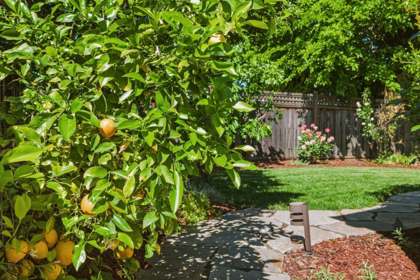 Detail Gallery Image 41 of 47 For 6235 Tillamook, San Jose,  CA 95123 - 3 Beds | 2 Baths