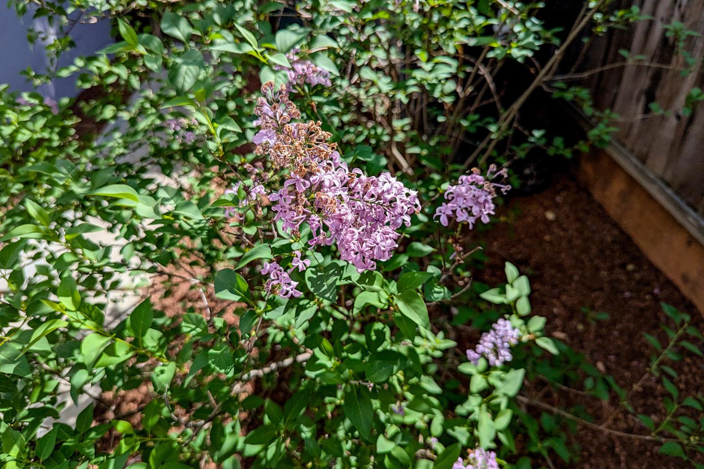 Detail Gallery Image 30 of 37 For 1418 Meadow Ln, Mountain View,  CA 94040 - 3 Beds | 2 Baths