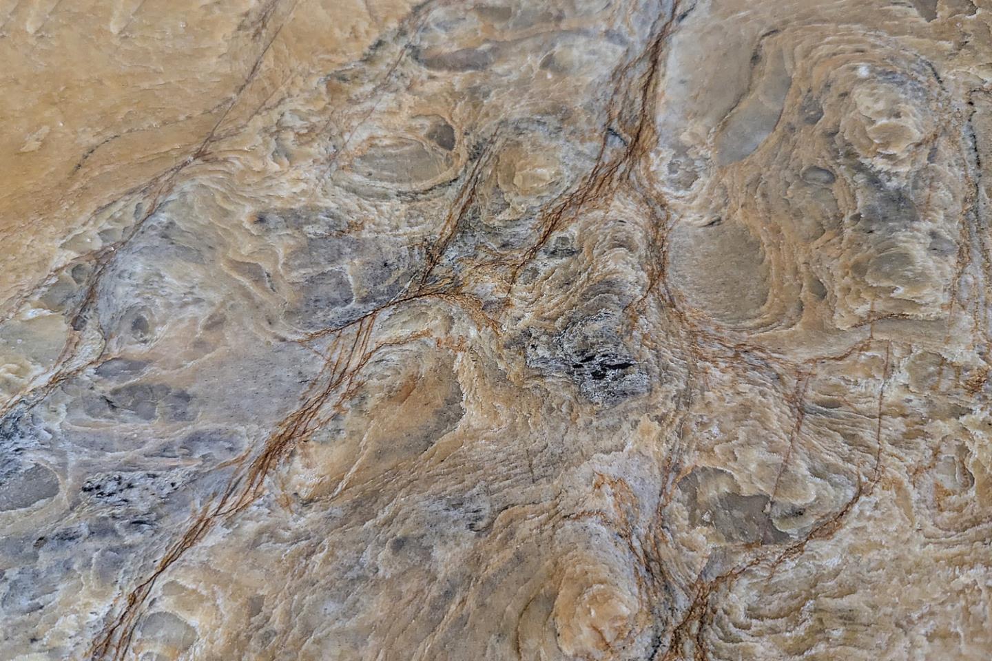 Detail Gallery Image 36 of 37 For 1418 Meadow Ln, Mountain View,  CA 94040 - 3 Beds | 2 Baths