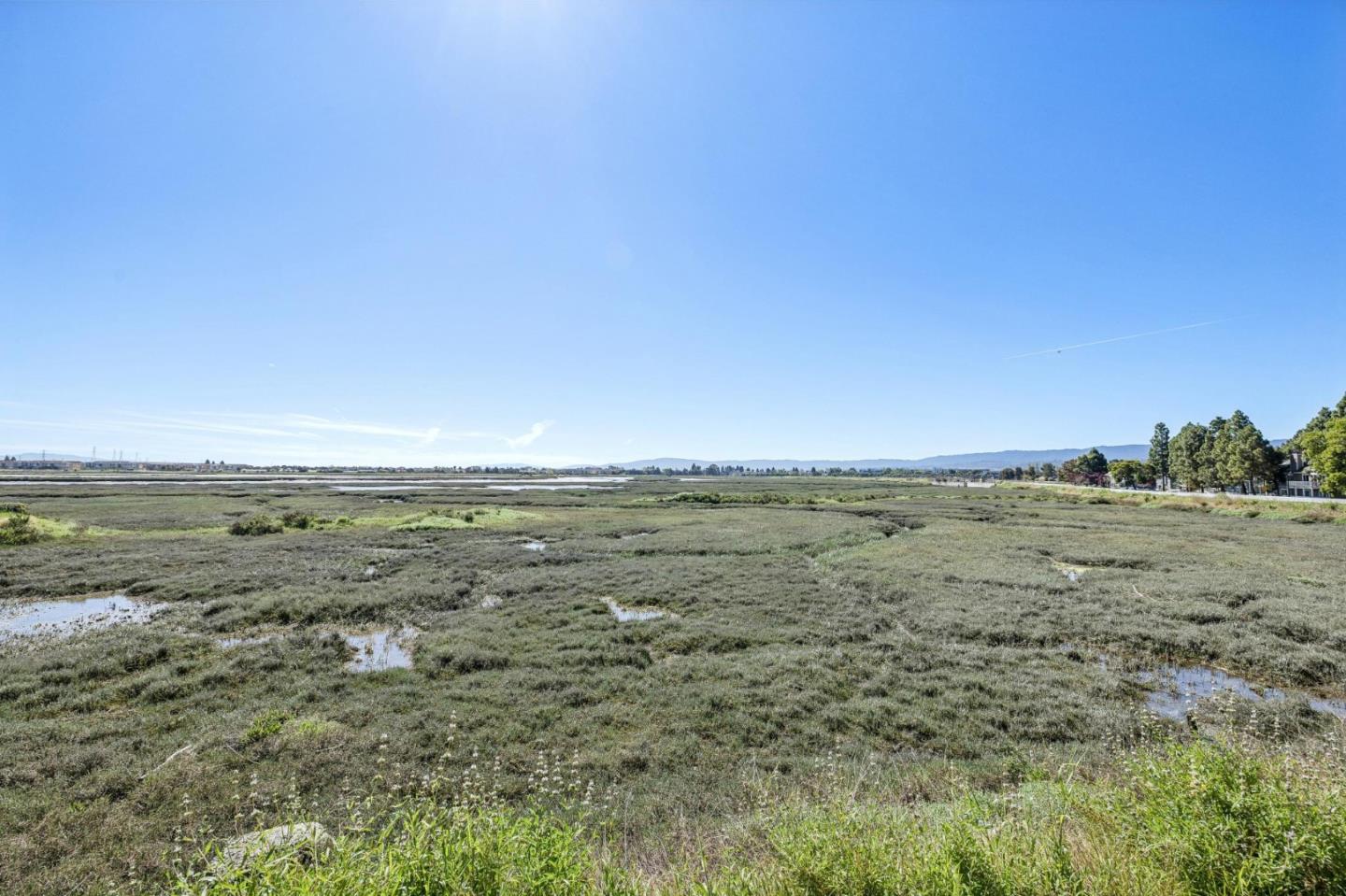 Photo #65: ML82040298 Listing: Photo #65