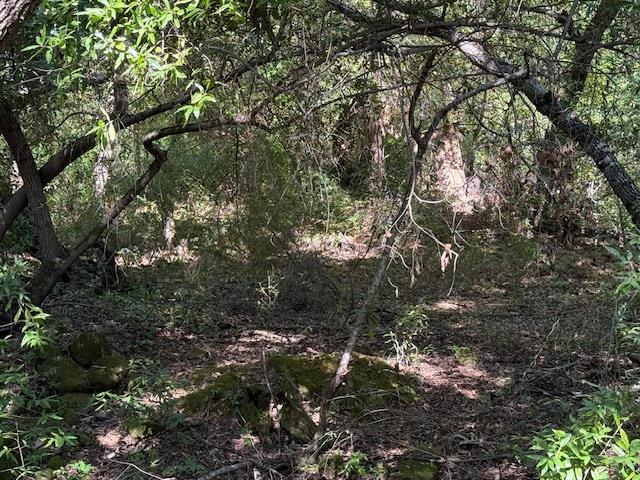 Detail Gallery Image 11 of 18 For 0 Canyon Vista, Los Gatos,  CA 95033 - – Beds | – Baths