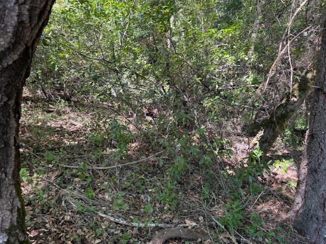 Detail Gallery Image 13 of 18 For 0 Canyon Vista, Los Gatos,  CA 95033 - – Beds | – Baths