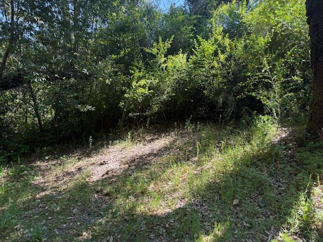 Detail Gallery Image 15 of 18 For 0 Canyon Vista, Los Gatos,  CA 95033 - – Beds | – Baths