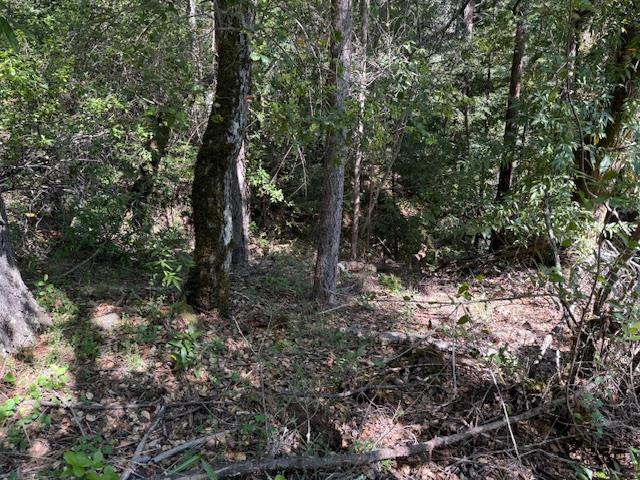 Detail Gallery Image 4 of 18 For 0 Canyon Vista, Los Gatos,  CA 95033 - – Beds | – Baths