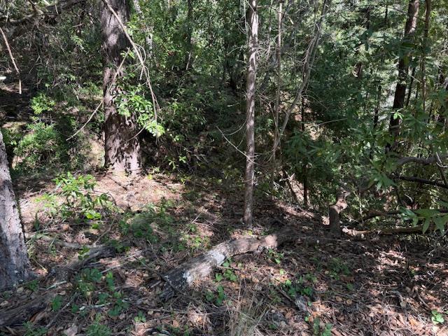 Detail Gallery Image 5 of 18 For 0 Canyon Vista, Los Gatos,  CA 95033 - – Beds | – Baths