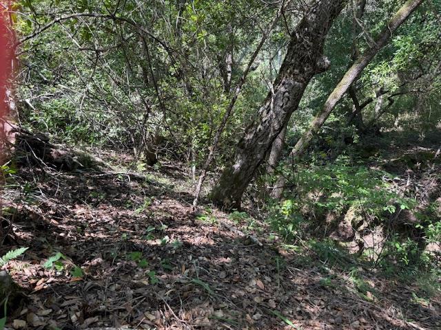 Detail Gallery Image 6 of 18 For 0 Canyon Vista, Los Gatos,  CA 95033 - – Beds | – Baths