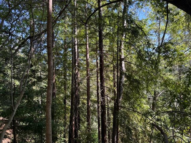 Detail Gallery Image 7 of 18 For 0 Canyon Vista, Los Gatos,  CA 95033 - – Beds | – Baths