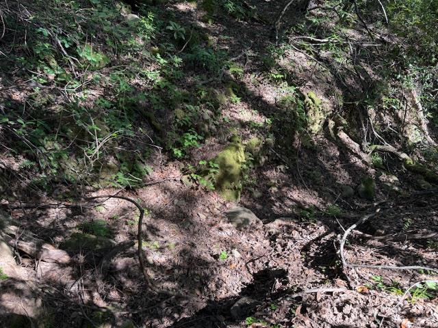 Detail Gallery Image 8 of 18 For 0 Canyon Vista, Los Gatos,  CA 95033 - – Beds | – Baths