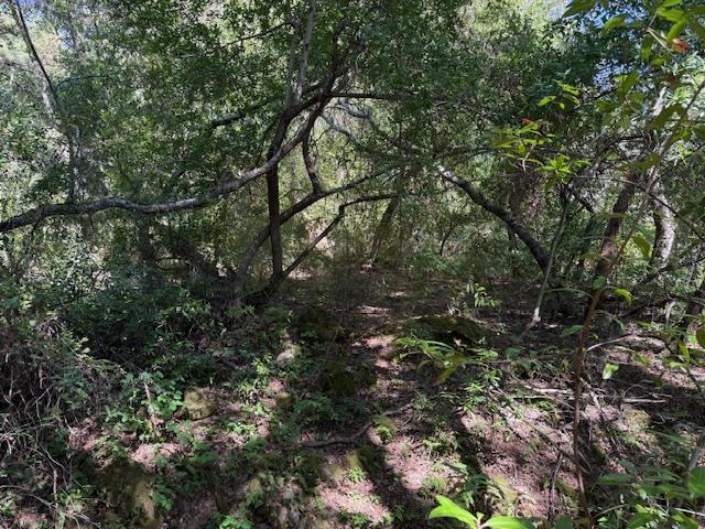 Detail Gallery Image 9 of 18 For 0 Canyon Vista, Los Gatos,  CA 95033 - – Beds | – Baths