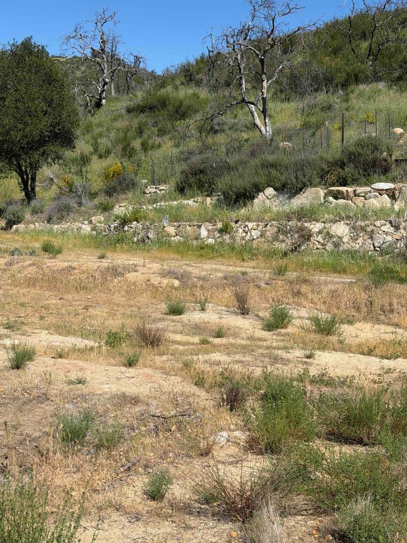 Detail Gallery Image 11 of 23 For 109 Trampa Canyon Road, Carmel Valley,  CA 93924 - – Beds | – Baths