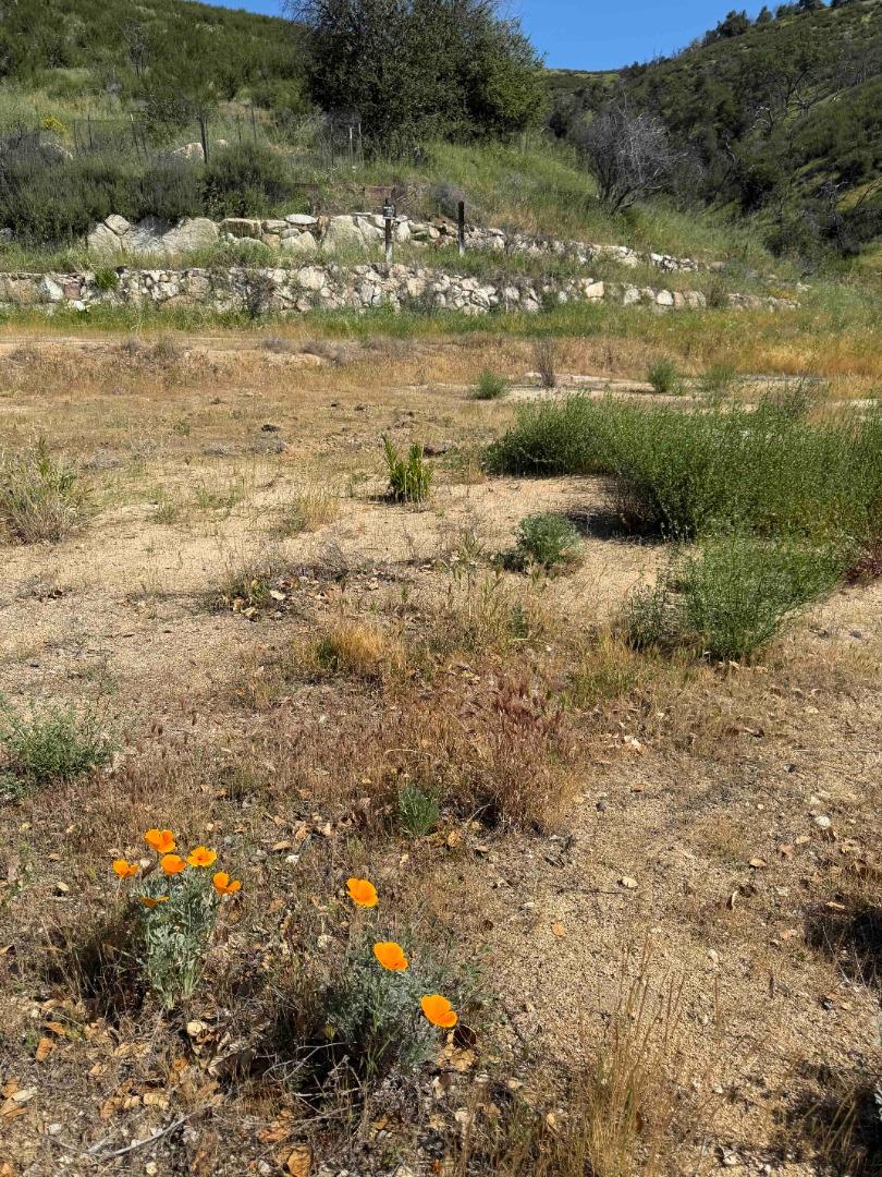 Detail Gallery Image 13 of 23 For 109 Trampa Canyon Road, Carmel Valley,  CA 93924 - – Beds | – Baths