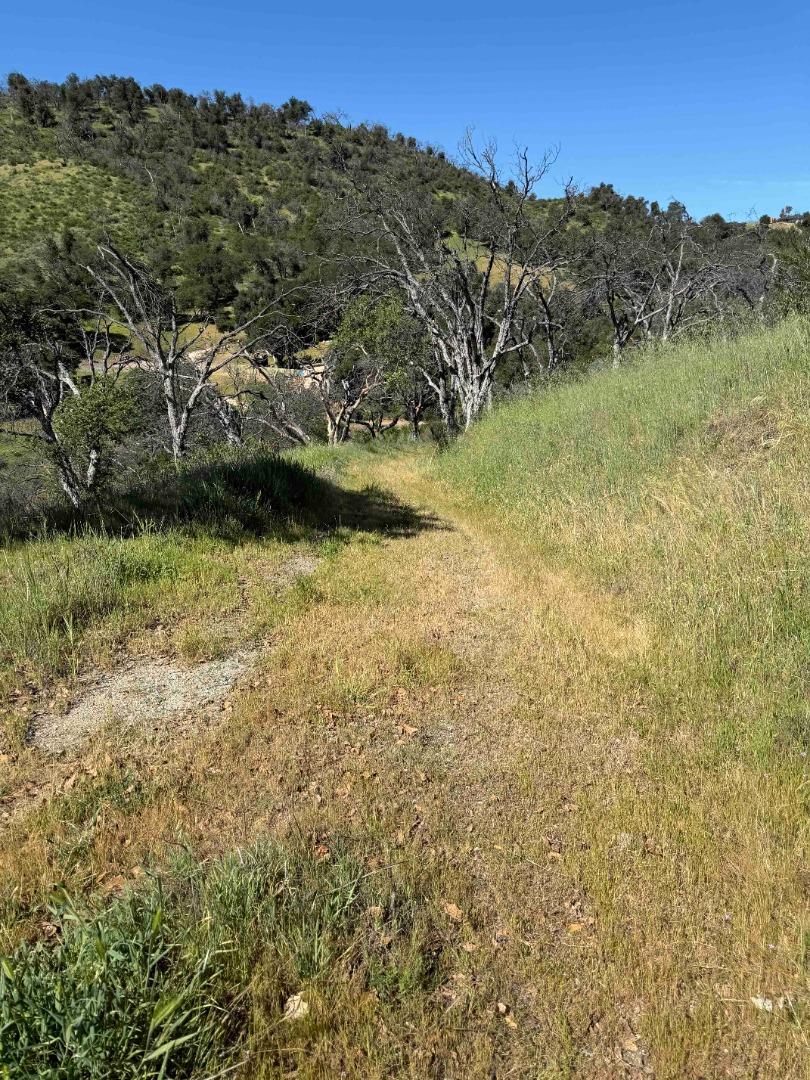 Detail Gallery Image 14 of 23 For 109 Trampa Canyon Road, Carmel Valley,  CA 93924 - – Beds | – Baths