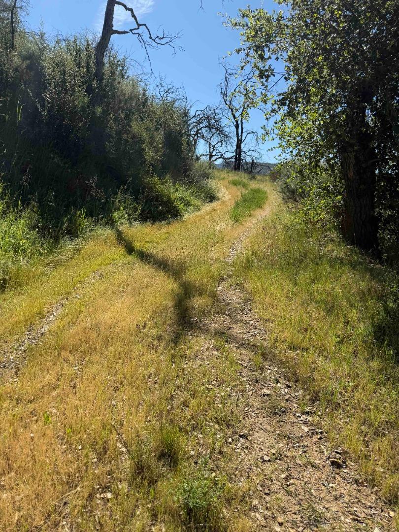 Detail Gallery Image 15 of 23 For 109 Trampa Canyon Road, Carmel Valley,  CA 93924 - – Beds | – Baths