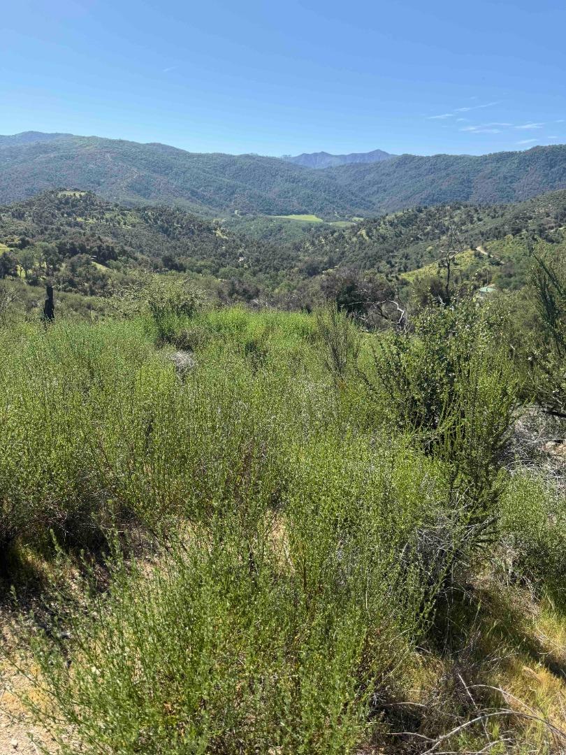 Detail Gallery Image 16 of 23 For 109 Trampa Canyon Road, Carmel Valley,  CA 93924 - – Beds | – Baths