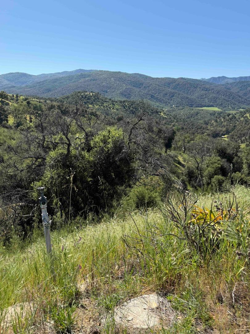 Detail Gallery Image 20 of 23 For 109 Trampa Canyon Road, Carmel Valley,  CA 93924 - – Beds | – Baths