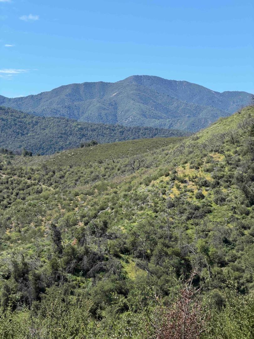 Detail Gallery Image 22 of 23 For 109 Trampa Canyon Road, Carmel Valley,  CA 93924 - – Beds | – Baths