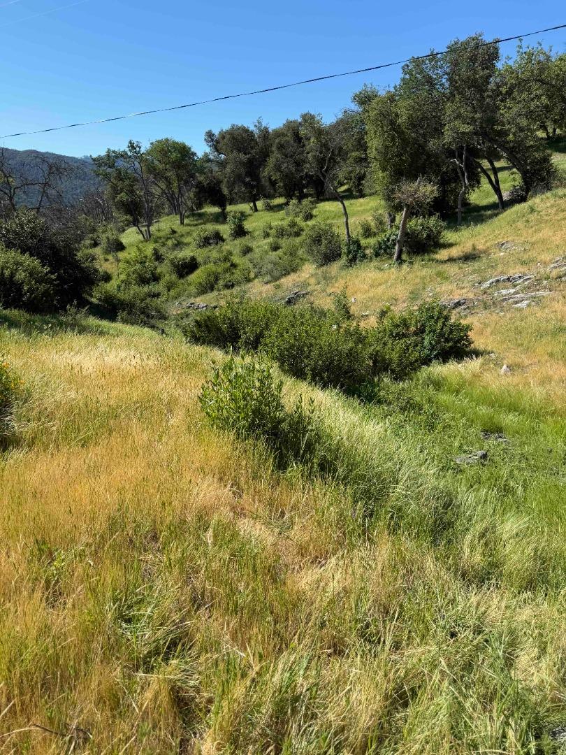 Detail Gallery Image 4 of 23 For 109 Trampa Canyon Road, Carmel Valley,  CA 93924 - – Beds | – Baths