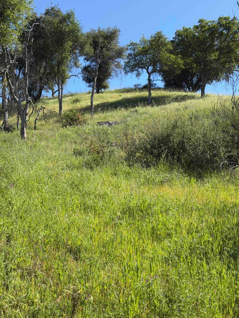 Detail Gallery Image 5 of 23 For 109 Trampa Canyon Road, Carmel Valley,  CA 93924 - – Beds | – Baths