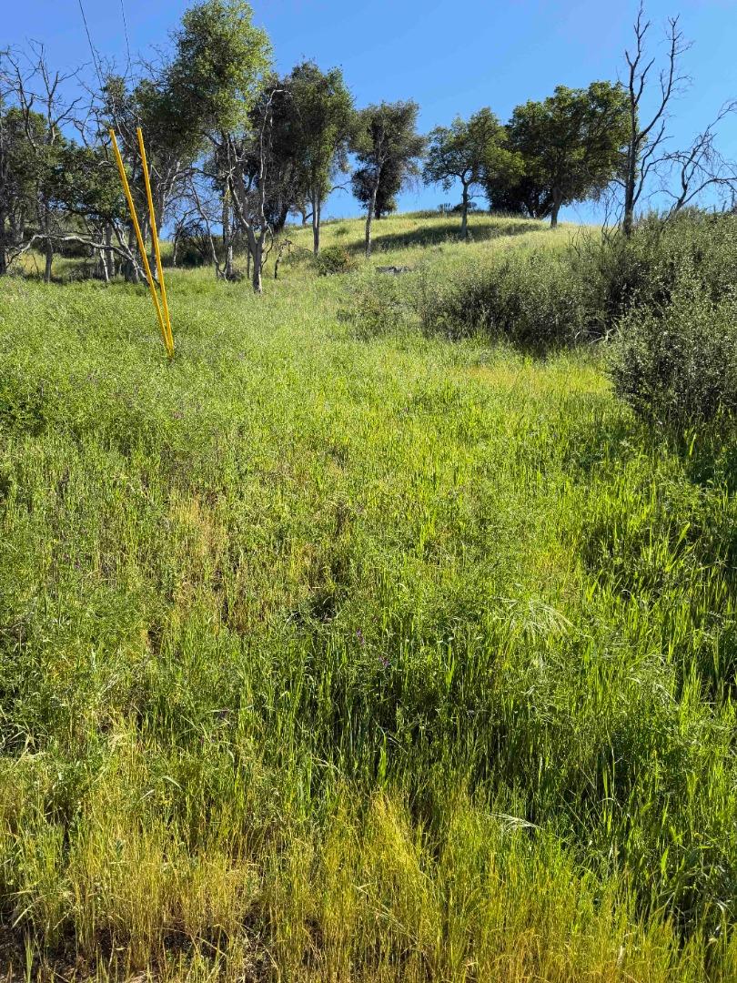 Detail Gallery Image 6 of 23 For 109 Trampa Canyon Road, Carmel Valley,  CA 93924 - – Beds | – Baths