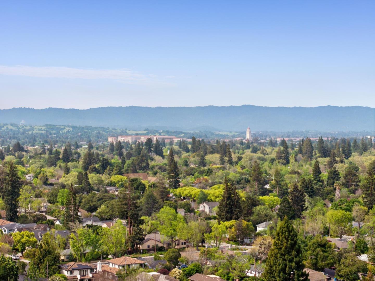 Detail Gallery Image 25 of 30 For 2704 Louis Rd, Palo Alto,  CA 94303 - 3 Beds | 2 Baths