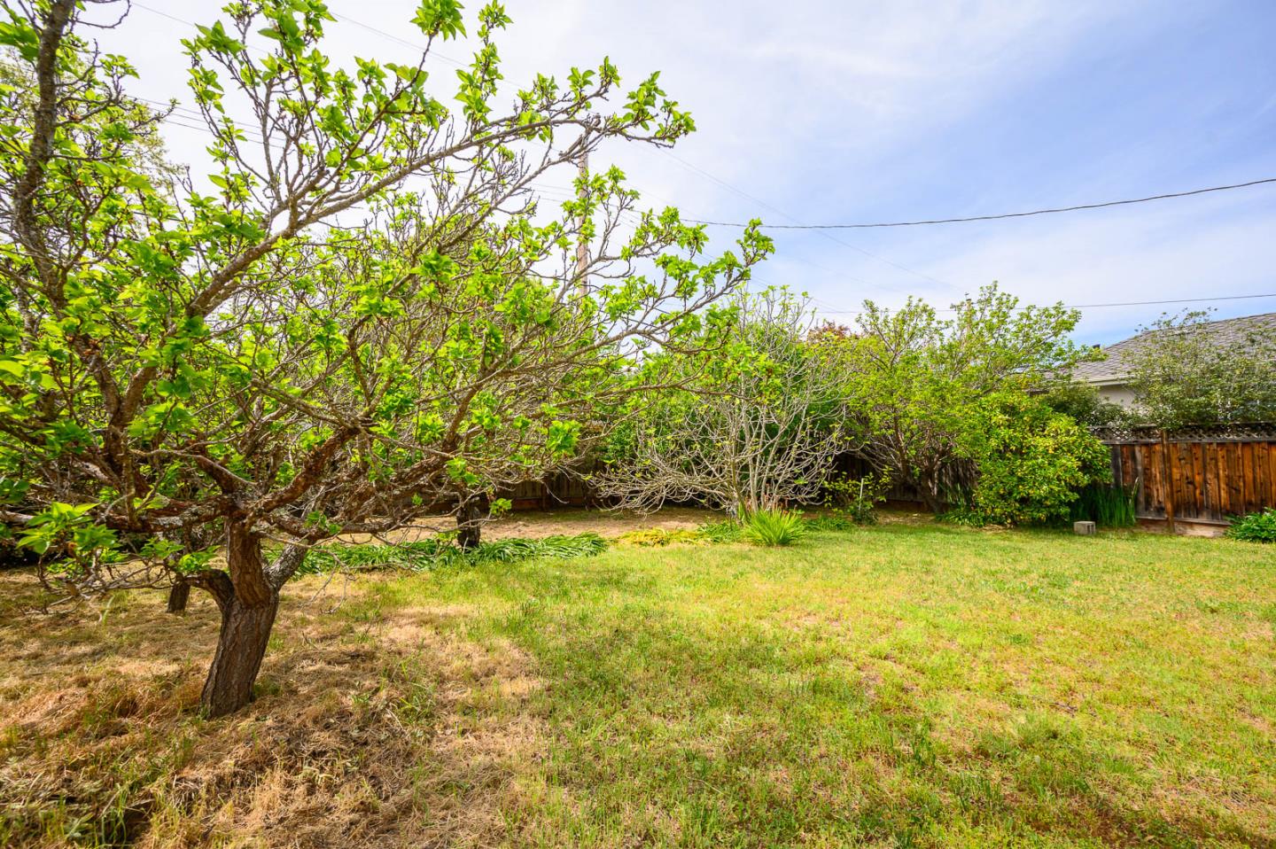 Detail Gallery Image 6 of 30 For 2704 Louis Rd, Palo Alto,  CA 94303 - 3 Beds | 2 Baths