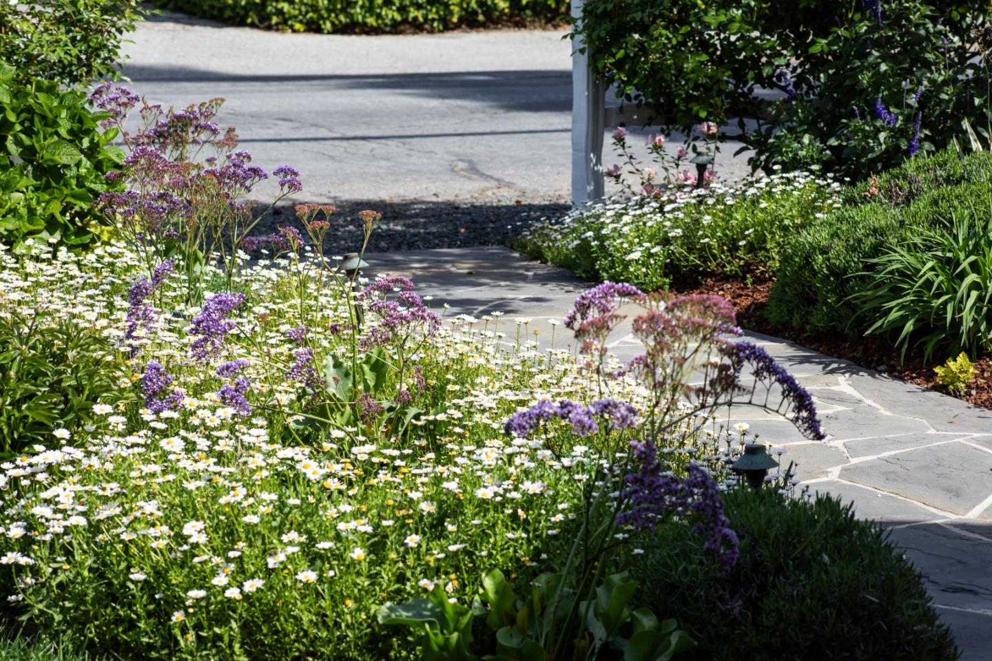 Detail Gallery Image 4 of 33 For 384 Hawthorne Ave, Los Altos,  CA 94022 - 4 Beds | 3/1 Baths