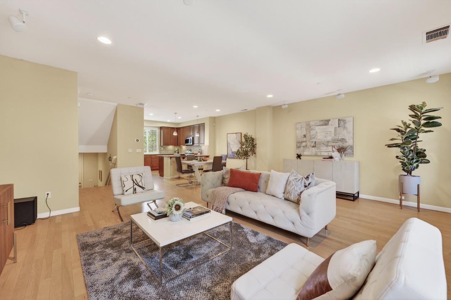 1030 Luz Del Sol Loop, Milpitas, CA, 95035