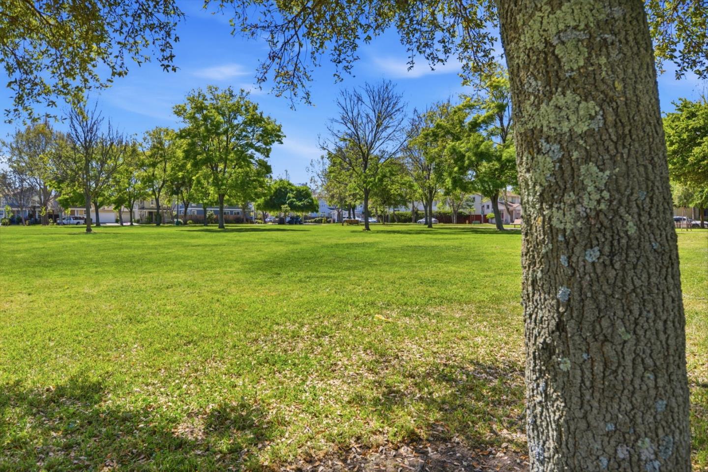 Detail Gallery Image 37 of 41 For 950 Mouton Cir, East Palo Alto,  CA 94303 - 4 Beds | 2/1 Baths