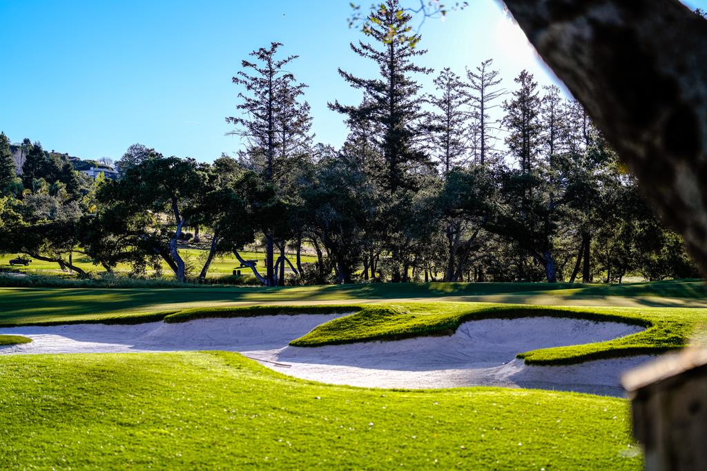 Detail Gallery Image 48 of 55 For 1100 Graham Hill Rd, Santa Cruz,  CA 95060 - 3 Beds | 2/1 Baths