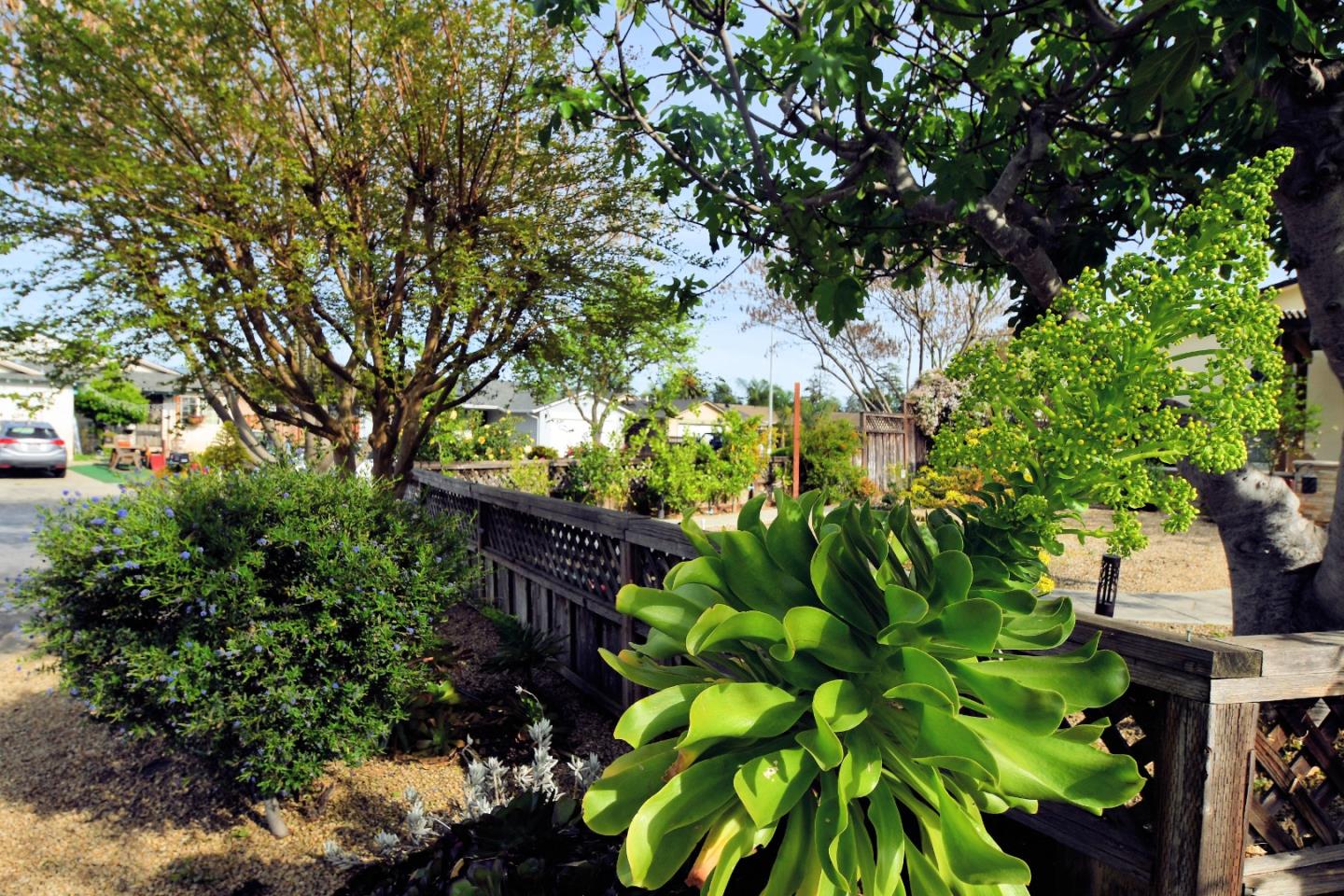 Detail Gallery Image 4 of 35 For 321 via Loma, Morgan Hill,  CA 95037 - 4 Beds | 2 Baths