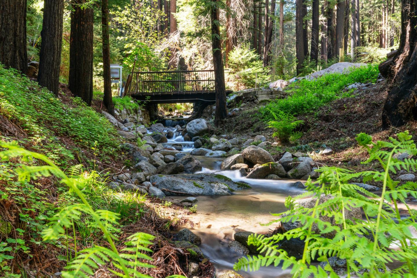 Detail Gallery Image 10 of 50 For 11800 Clear Creek Rd, Brookdale,  CA 95007 - – Beds | – Baths