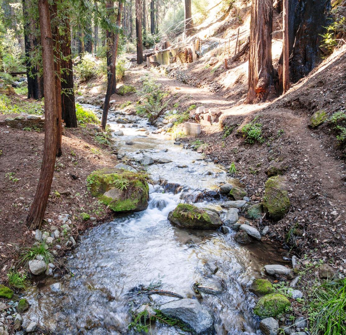 SAN LORENZO VALLEY
