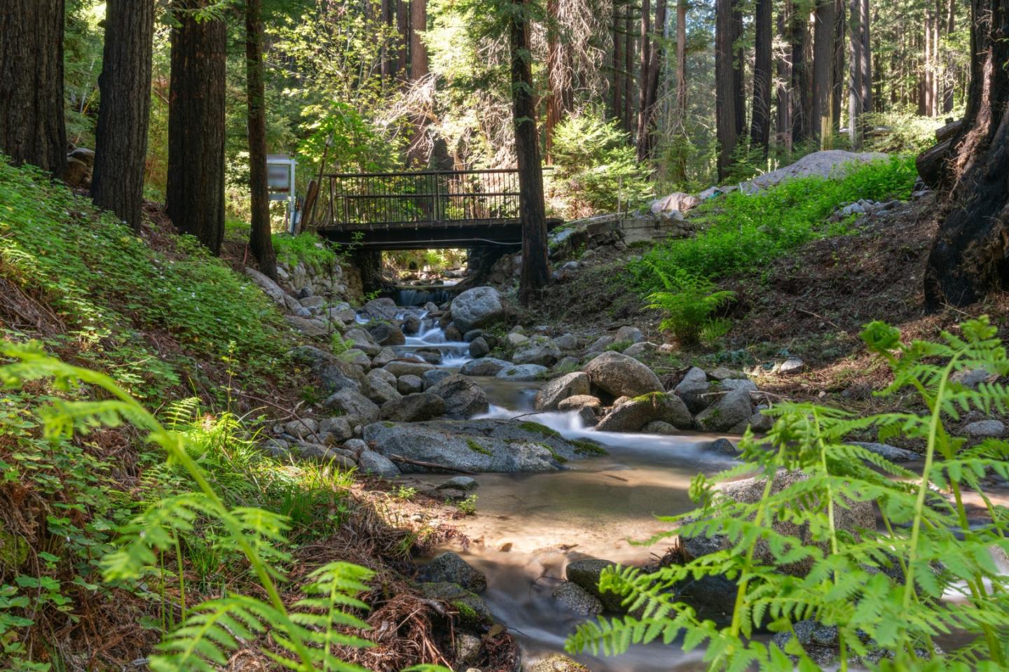 Detail Gallery Image 39 of 50 For 11800 Clear Creek Rd, Brookdale,  CA 95007 - – Beds | – Baths