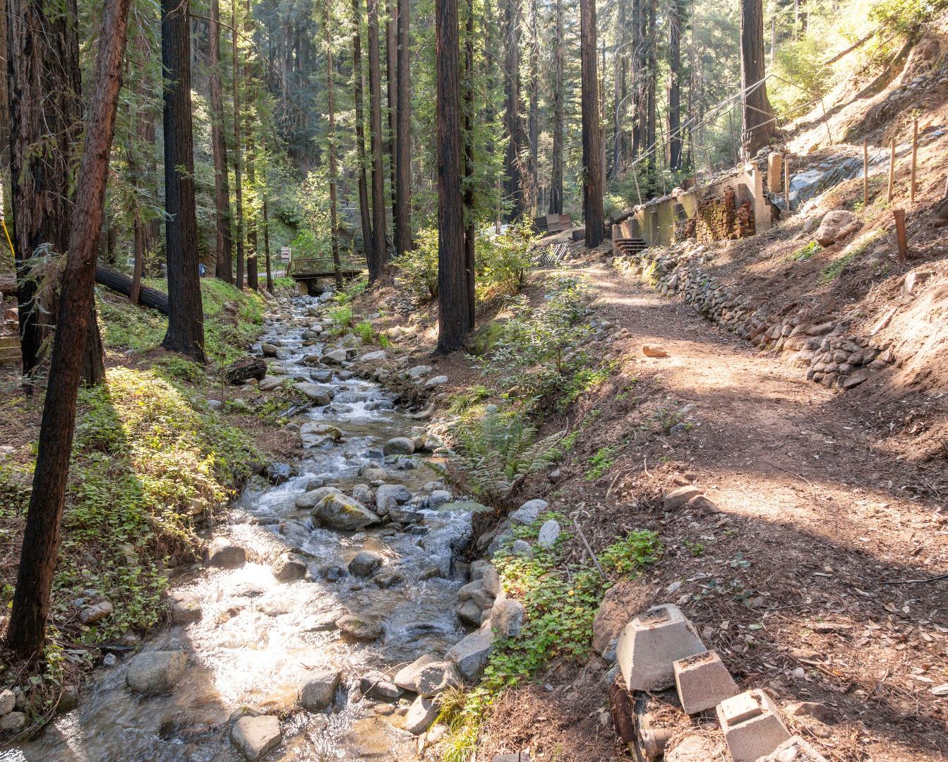 Detail Gallery Image 4 of 50 For 11800 Clear Creek Rd, Brookdale,  CA 95007 - – Beds | – Baths